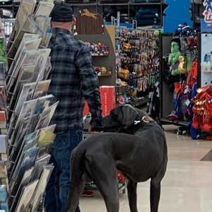 Meet your Posher, Daniel